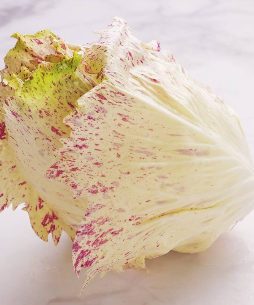 Foto Radicchio variegato BIO 